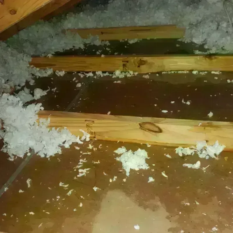 Attic Water Damage in Kauai County, HI